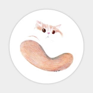 Cat tail Magnet